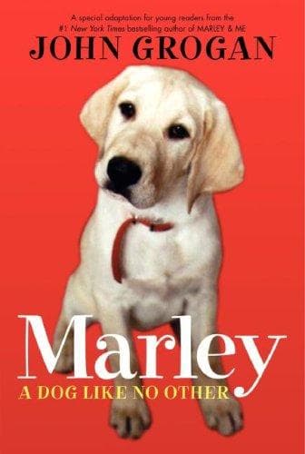 Tapa de Marley