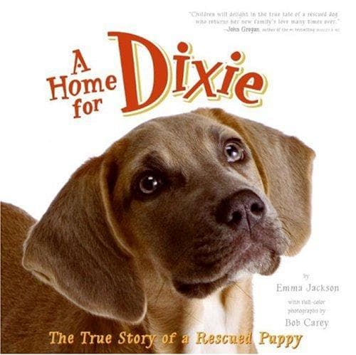 Tapa de A Home for Dixie