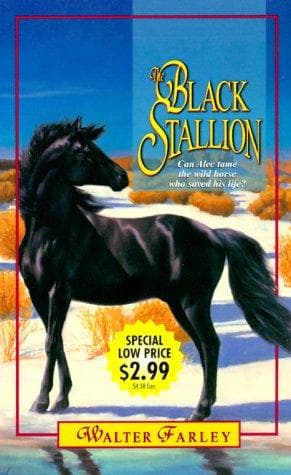 Tapa de The Black Stallion