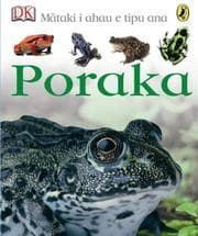Tapa de Frog