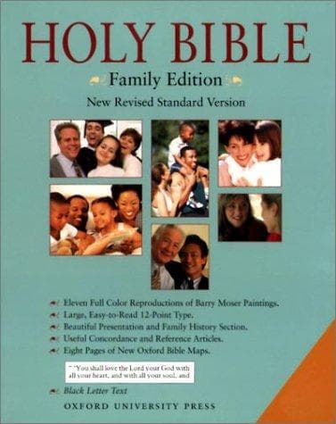 Tapa de The Holly Bible