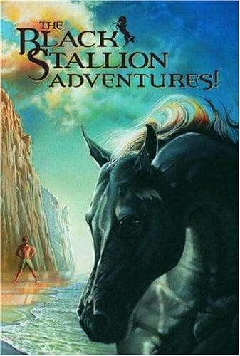 Tapa de Black Stallion Adventure Set