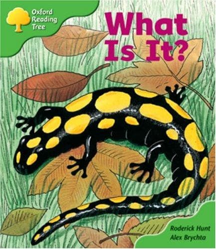 Tapa de What Is It?