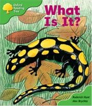 Tapa de What Is It?