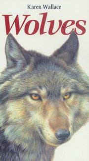 Tapa de Wolves (Oxford Reds)
