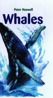 Tapa de Whales (Oxford Reds)