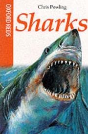 Tapa de Sharks (Oxford Reds)