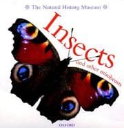 Tapa de Insects and Other Minibeasts (Animal Close-ups)