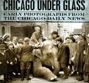 Tapa de Chicago Under Glass