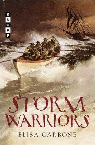 Tapa de Storm warriors
