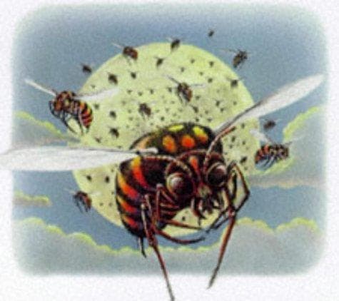 Tapa de The Swarm from Outer Space (The Spook Files)