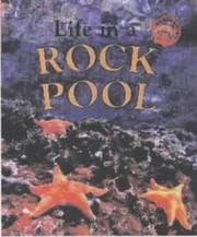 Tapa de Life in a Rock Pool (Microhabitats)