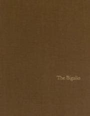 Tapa de The Bigallo