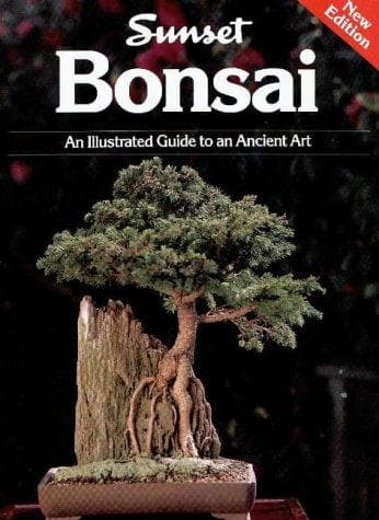 Tapa de Bonsai