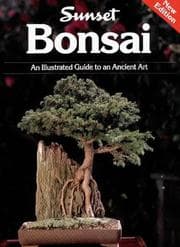 Tapa de Bonsai