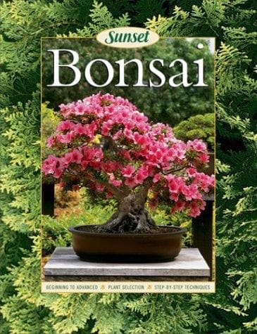 Tapa de Bonsai