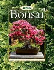 Tapa de Bonsai