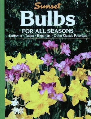 Tapa de Bulbs