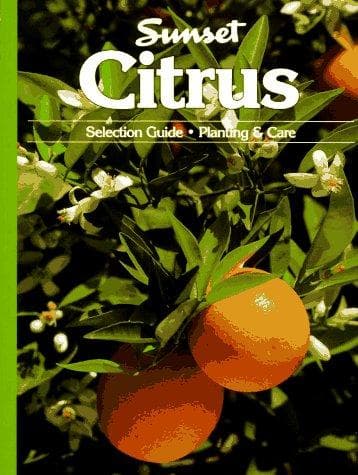 Tapa de Citrus