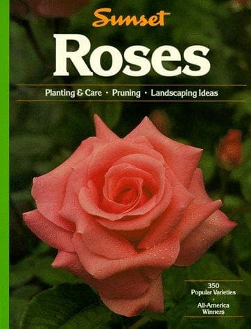Tapa de Roses (Gardening & Landscaping)