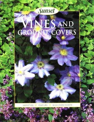 Tapa de Vines and ground covers