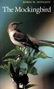 Tapa de The Mockingbird