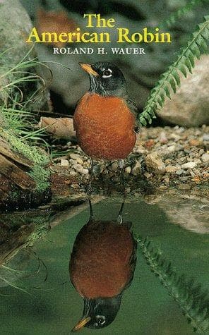 Tapa de The American robin