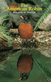 Tapa de The American robin