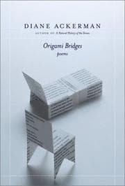 Tapa de Origami Bridges