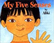 Tapa de My Five Senses Big Book