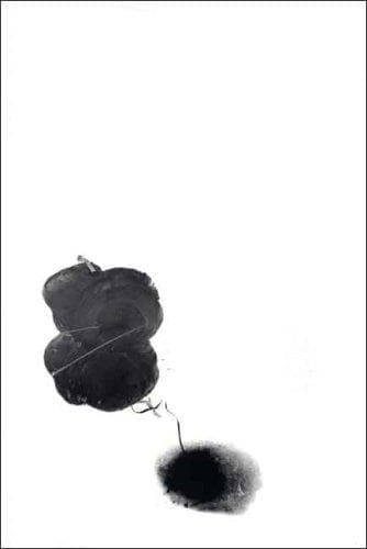 Tapa de Terence Koh