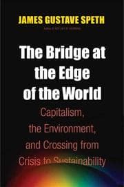 Tapa de The Bridge at the Edge of the World