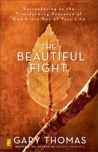 Tapa de The Beautiful Fight