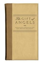 Tapa de The Gift of Angels