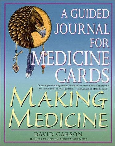 Tapa de Making Medicine