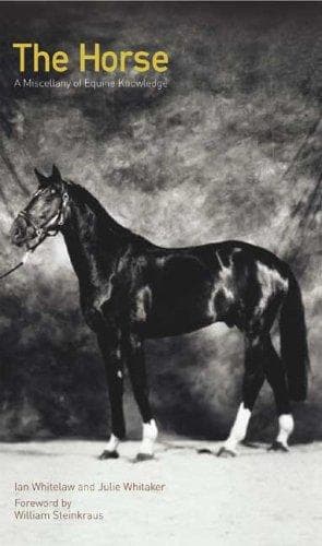 Tapa de The horse