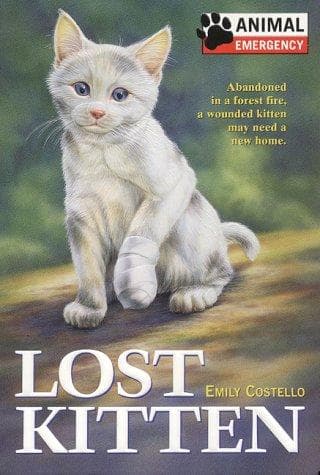 Tapa de Lost kitten
