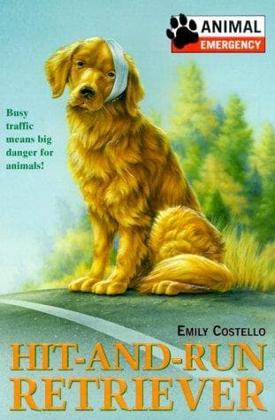 Tapa de Hit-and-run retriever