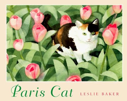 Tapa de Paris cat