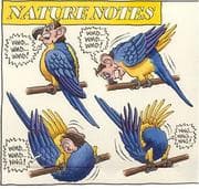 Tapa de Nature Notes IV