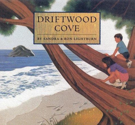 Tapa de Driftwood Cove