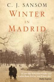 Tapa de Winter in Madrid