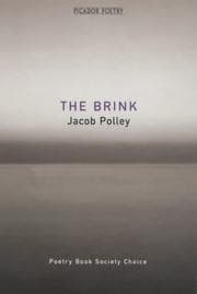 Tapa de The Brink