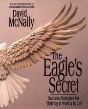 Tapa de The eagle's secret