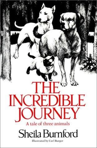 Tapa de The incredible journey