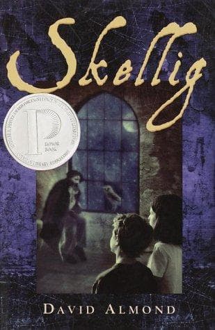 Tapa de Skellig