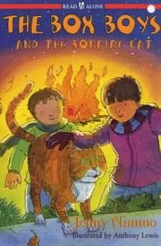 Tapa de The Box Boys and the Bonfire Cat