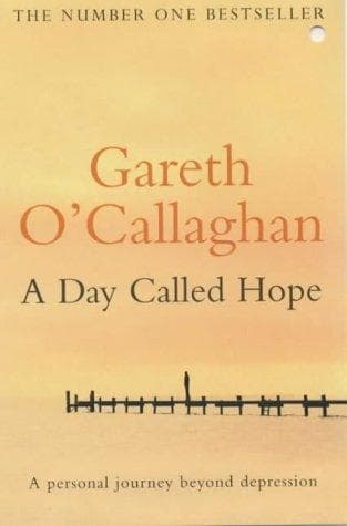 Tapa de A Day Called Hope