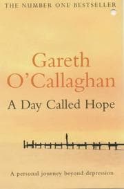 Tapa de A Day Called Hope
