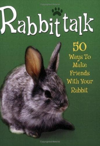 Tapa de Rabbittalk